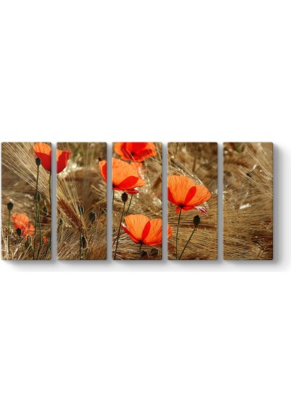 Gelincik Esintileri Tablosu