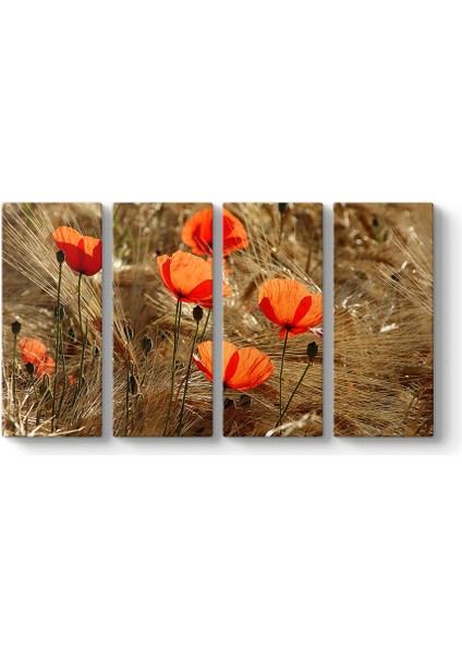 Gelincik Esintileri Tablosu