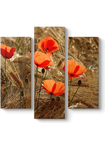 Gelincik Esintileri Tablosu