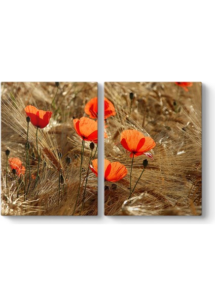 Gelincik Esintileri Tablosu