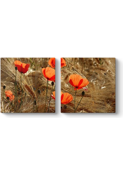 Gelincik Esintileri Tablosu