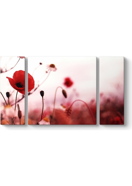 Gelincik Yalnızlık Tablosu