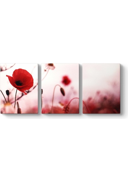 Gelincik Yalnızlık Tablosu