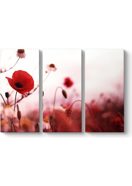 Gelincik Yalnızlık Tablosu