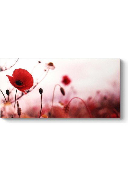 Gelincik Yalnızlık Tablosu