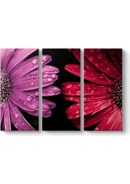 Renkli Papatyalar Tablosu