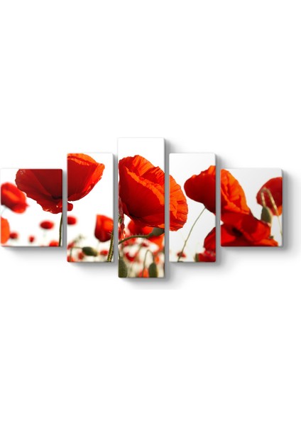 Bahçede Gelincikler Tablosu