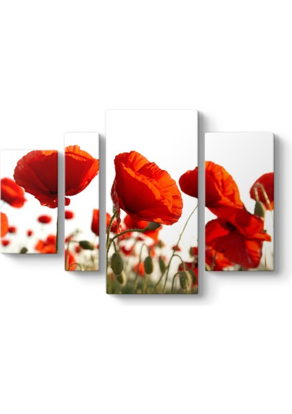 Bahçede Gelincikler Tablosu