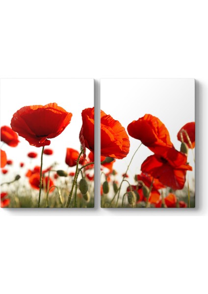 Bahçede Gelincikler Tablosu