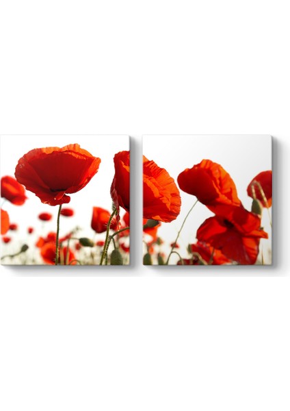 Bahçede Gelincikler Tablosu