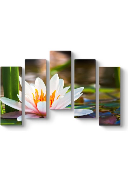 Sudaki Lotus Tablosu