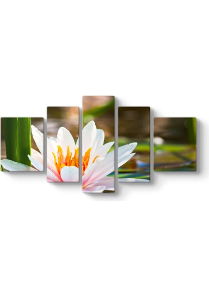 Sudaki Lotus Tablosu