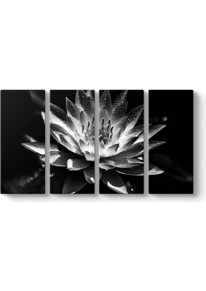 Siyah Beyaz Lotus Çiçeği Tablosu