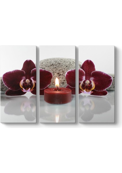 Mum ve Orkide Tablosu