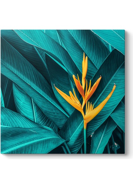 Starliçe Cennet Çiçeği Tablosu