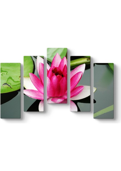 Nilüfer Art Tablosu