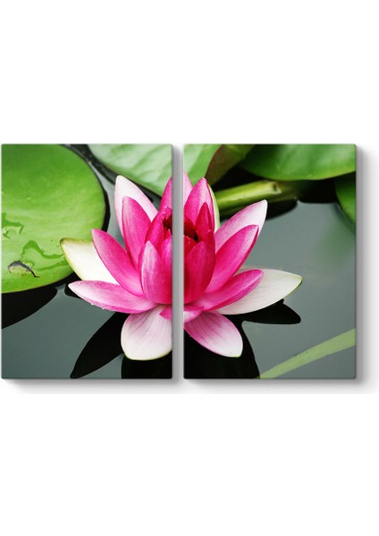 Nilüfer Art Tablosu