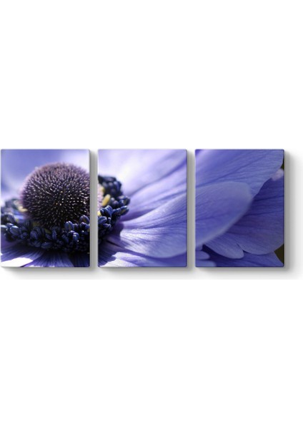 Mor Çiçek Panorama Tablo