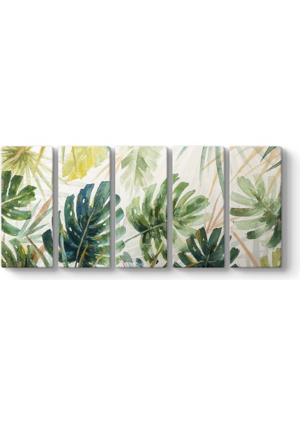 Deve Tabanı Yaprakları Tablosu