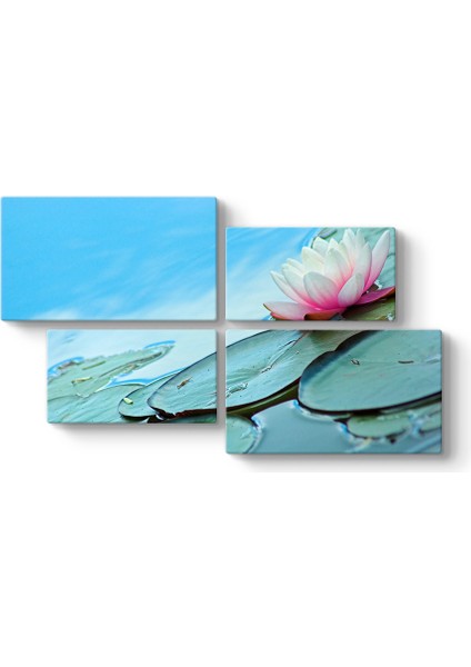 Nilüfer Çiçeği Gölet Tablosu