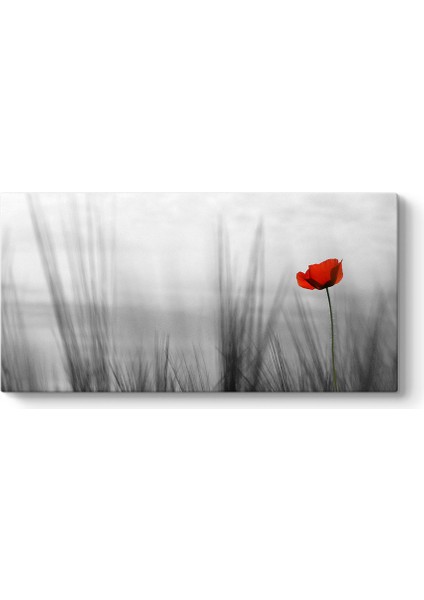 Otlar Arasında Yalnız Gelincik Tablosu