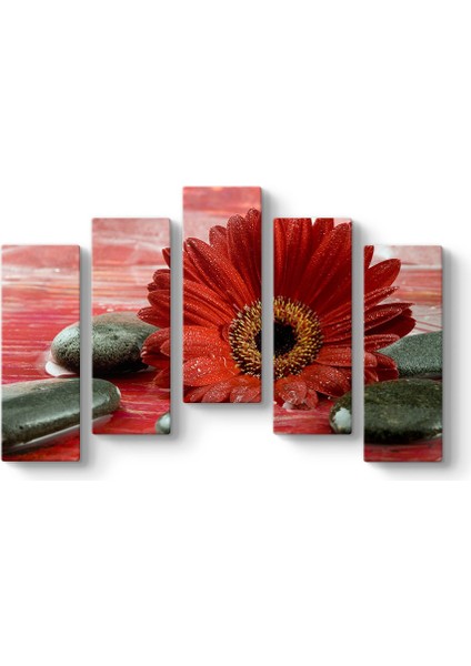 Gerbera ve Siyah Taşlar Tablosu