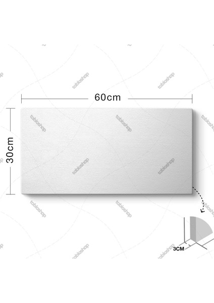 Çiçek Soyut Panorama Tablo fiyatları