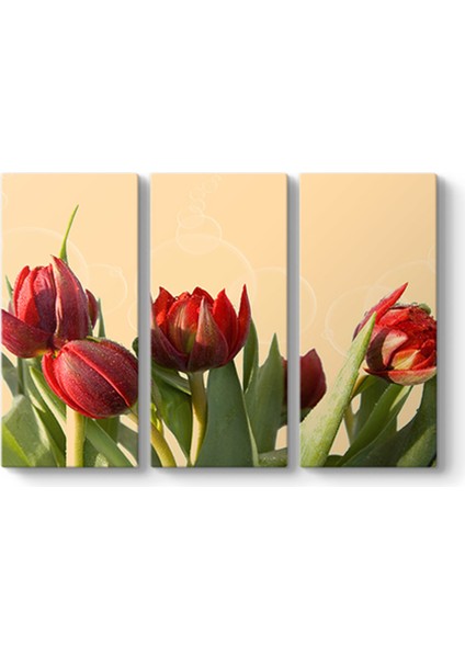 Açmamış Laleler Panorama Tablo
