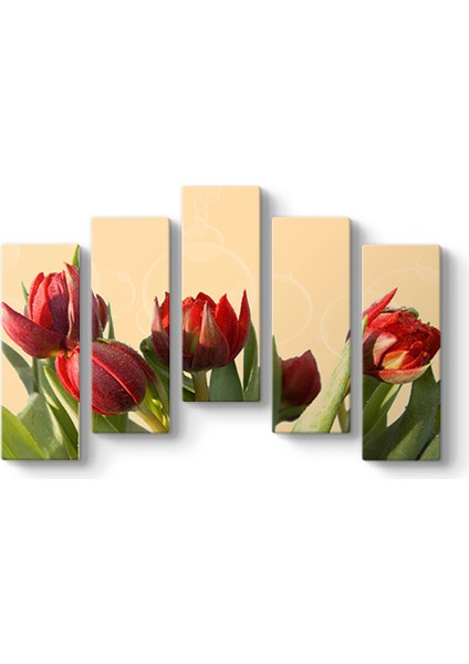 Açmamış Laleler Panorama Tablo