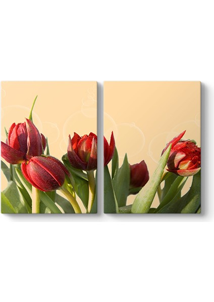 Açmamış Laleler Panorama Tablo
