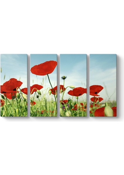 Gelincik Tarlası Panorama Tablo