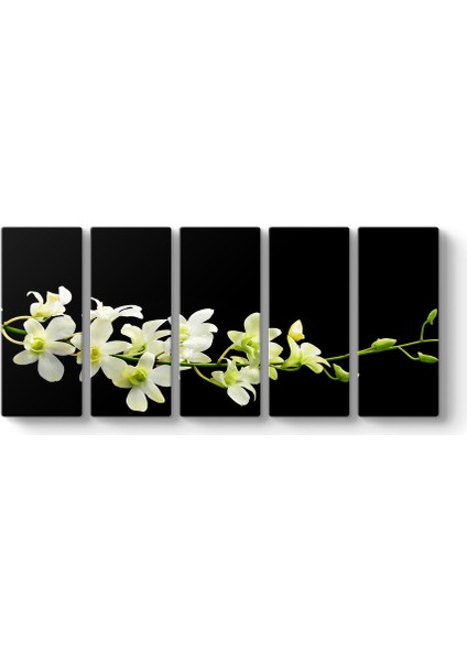 Çiçek Dalı Panorama Tablo