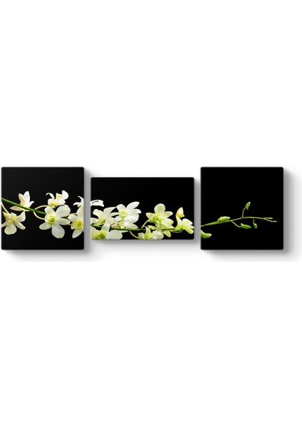 Çiçek Dalı Panorama Tablo
