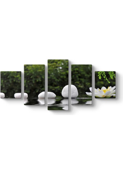 Nilüfer Çiçeği ve Taşlar Panorama Tablo