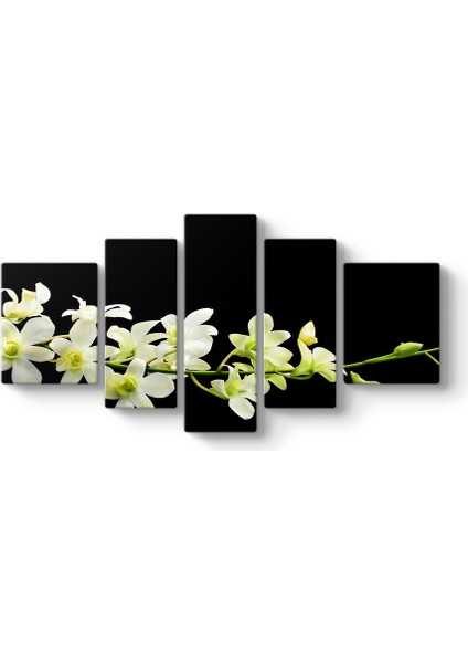 Çiçek Dalı Panorama Tablo