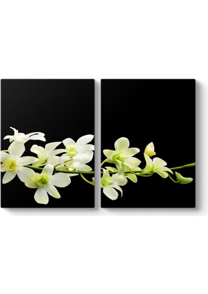 Çiçek Dalı Panorama Tablo