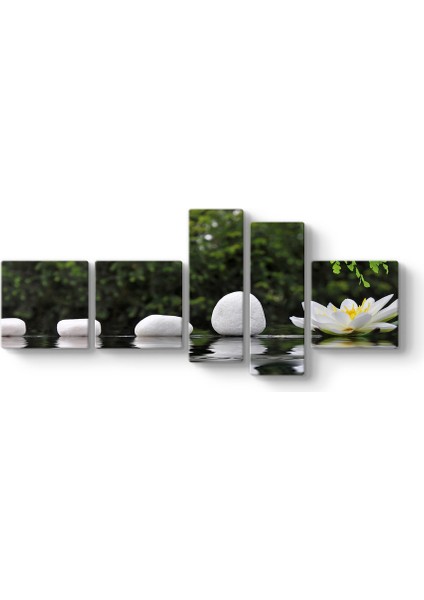 Nilüfer Çiçeği ve Taşlar Panorama Tablo