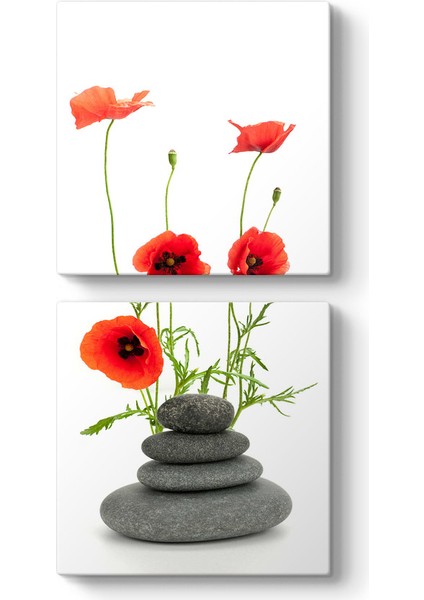 Gelincikler ve Taşlar Tablosu