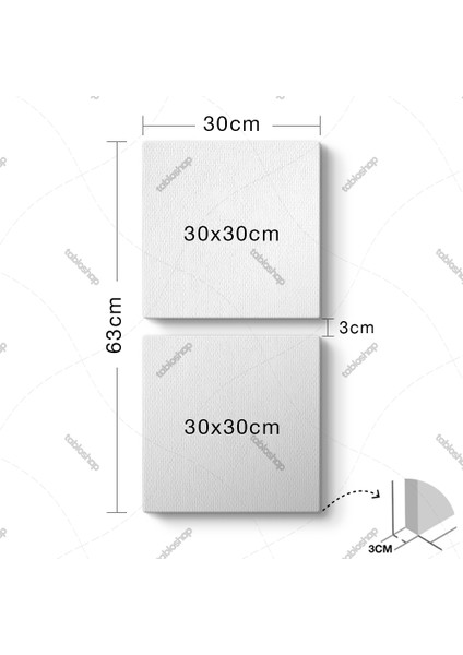 Floral Soyut Tablo fiyatları