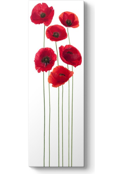 Vektörel Gelincikler Tablosu