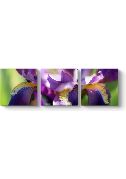 Lilie 3 Parçalı Tablo