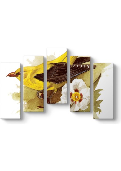 Goldfinch Bird Tablosu