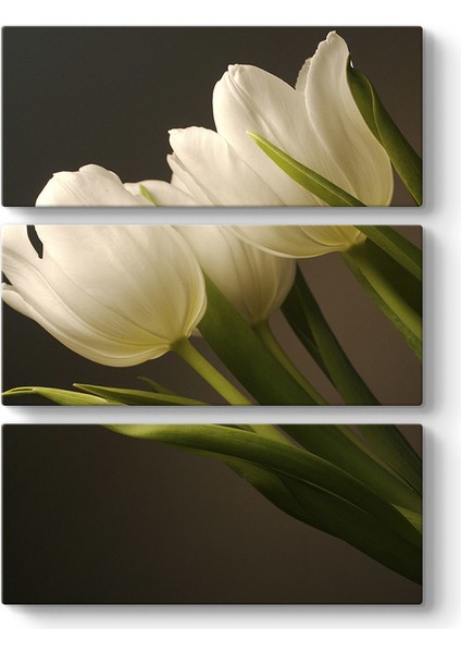 Beyaz Laleler 3 Parçalı Tablo