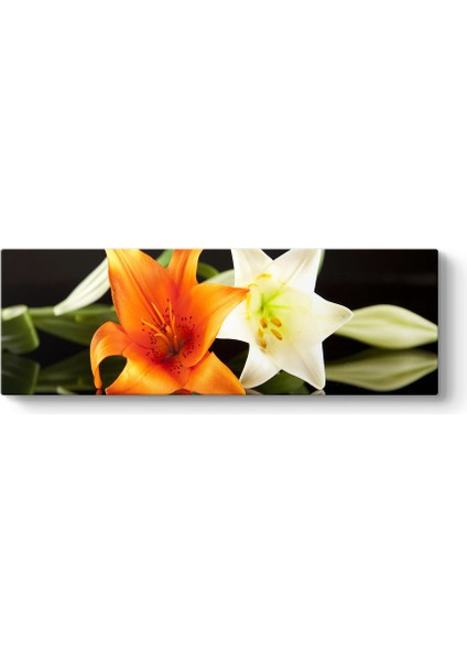 Süsen Iris Çiçeği Tablosu