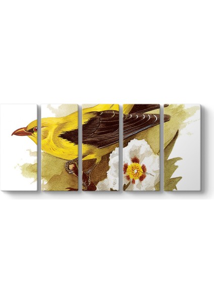 Goldfinch Bird Tablosu