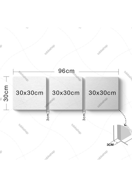 Modern Çiçekler 3 Parçalı Tablo fiyatları