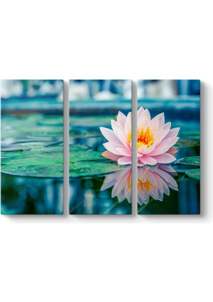 Pembe Nilüfer Tablosu