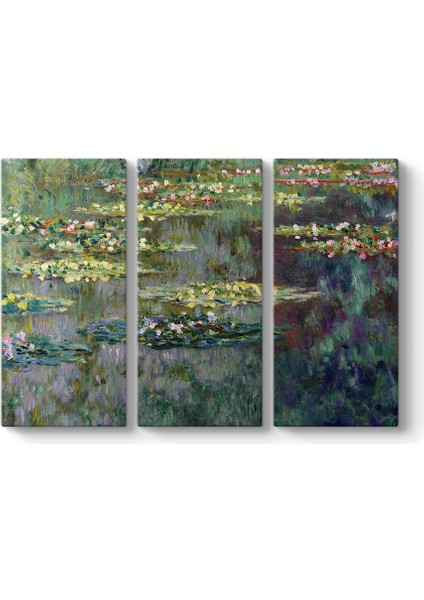 Claude Monet - Bassin Des Nympheas Tablosu