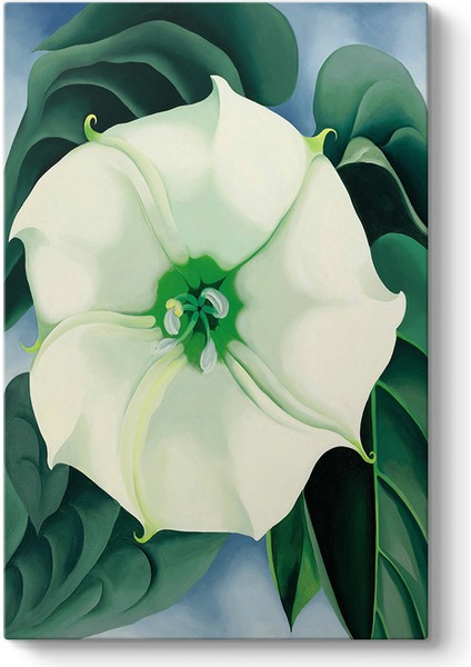 Georgia Okeeffe - White Flower Tablosu