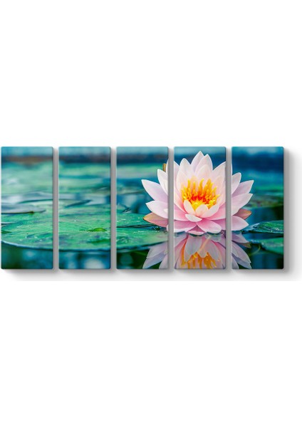 Pembe Nilüfer Tablosu